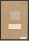 Amphora composita Jan. (de-Toni-Nr.: Genus 36, Species 1602) Zeichnungen Sammlung Grunow Nr. 3077 (NHMW-BOT-W0370481)